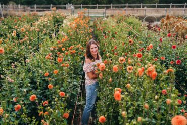 Willow and Mabel Garden Co.