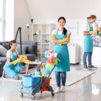 cleaning professionals