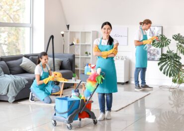 cleaning professionals
