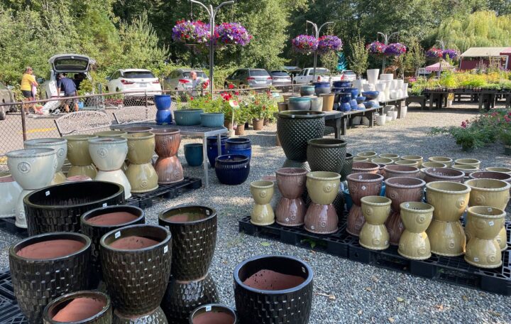 Valley Nursery