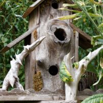 Custom Rustic Birdhouses