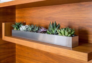 Succulents are low-maintenance houseplants that add interest and beauty to indoor décor. (Photo courtesy of Gardener's Supply Company/gardeners.com)
