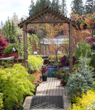 Bremerton City Nursery