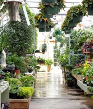 Cooleen Nursery’s gift shop and houseplants