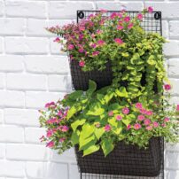 Wire wall pocket planters dress up walls with color and interest. (Photo courtesy Gardener's Supply Company)