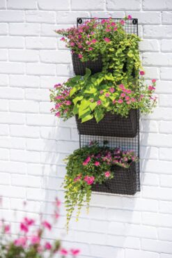 Wire wall pocket planters dress up walls with color and interest. (Photo courtesy Gardener's Supply Company)