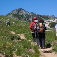 Volunteers for Cascade National Park Butterfly Project track subalpine butterflies. (Photo courtesy Kevin Bacher)
