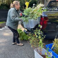 Ann Haines loading bins full of plants