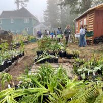 Plants will be stored for winter at three different sites.