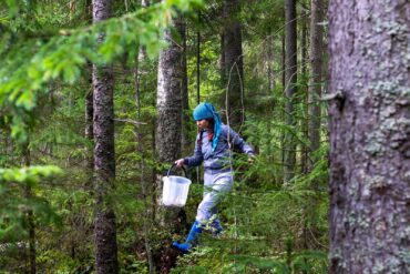 Foraging for mushrooms