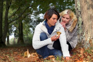 Foraging for mushrooms