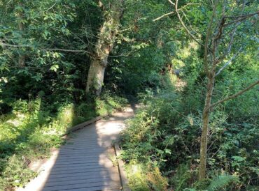 Clear Creek Trail boardwalk