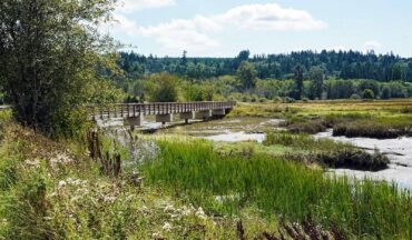 Theler Wetlands