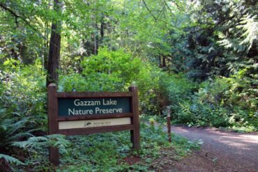 Gazzam Lake Nature Preserve 