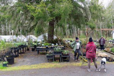 Woodbrook Native Plant Nursery