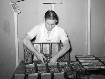At a San Angelo, Texas, bakery in November 1939