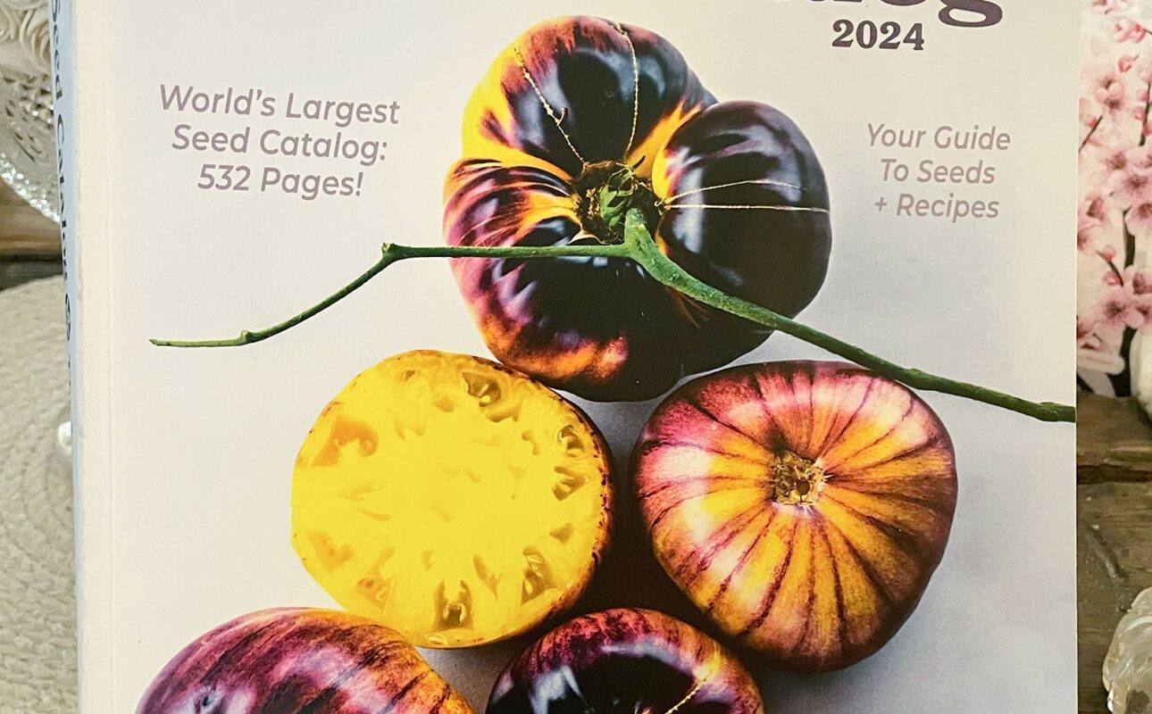 Whole Seed Catalog 2024