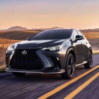 2024 Lexus NX 350h