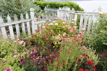 Cherry and Terry Jarvis Garden