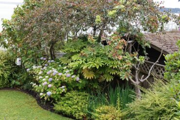 Cherry and Terry Jarvis Garden