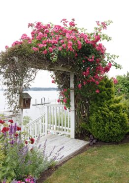 Cherry and Terry Jarvis Garden