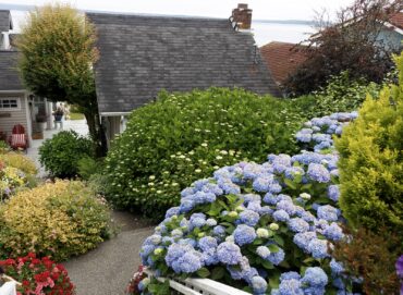 Cherry and Terry Jarvis Garden