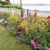 Cherry and Terry Jarvis Garden