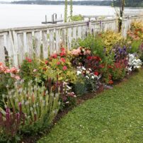 Cherry and Terry Jarvis Garden