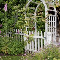 Cherry and Terry Jarvis Garden