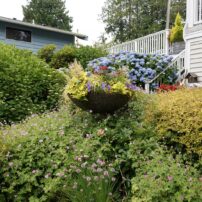 Cherry and Terry Jarvis Garden