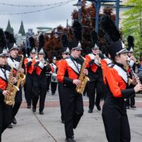 Armed Forces Day Parade