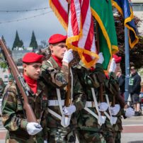 Armed Forces Day Parade