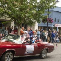 Armed Forces Day Parade