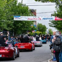 Armed Forces Day Parade