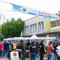 Armed Forces Day Parade