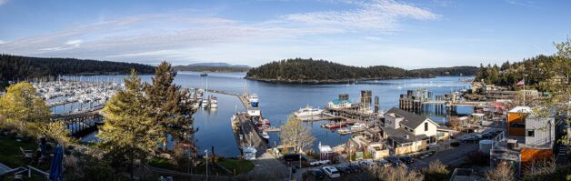 Friday Harbor from Friday Harbor House