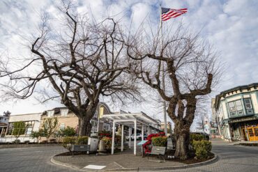 Downtown Friday Harbor