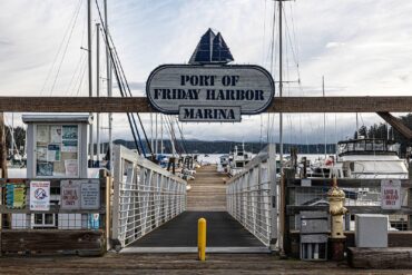 This way to whale watching