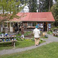 Orcas Island Pottery