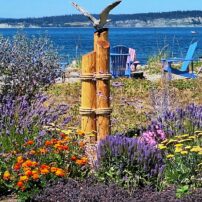 Community Scene - Hansville Garden Tour 2024