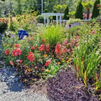 Community Scene - Hansville Garden Tour 2024