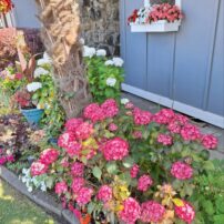 Community Scene - Hansville Garden Tour 2024