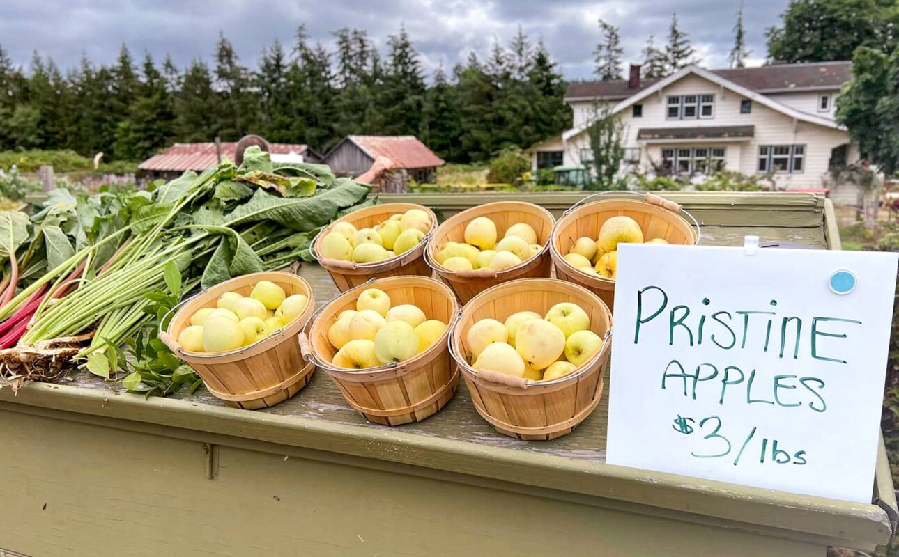 Community Scene - Kitsap Farm Tour