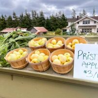 Community Scene - Kitsap Farm Tour