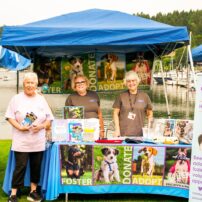 Community Scene - Harbor Hounds