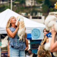 Community Scene - Harbor Hounds