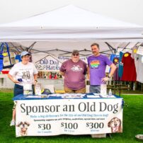 Community Scene - Harbor Hounds