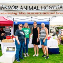 Community Scene - Harbor Hounds