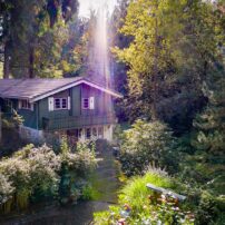 Chalet in the Woods