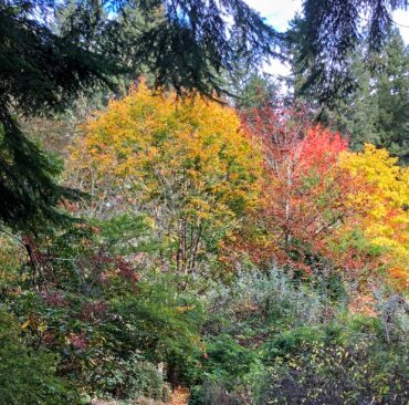 Sam Rader's Gardening Gold Mine